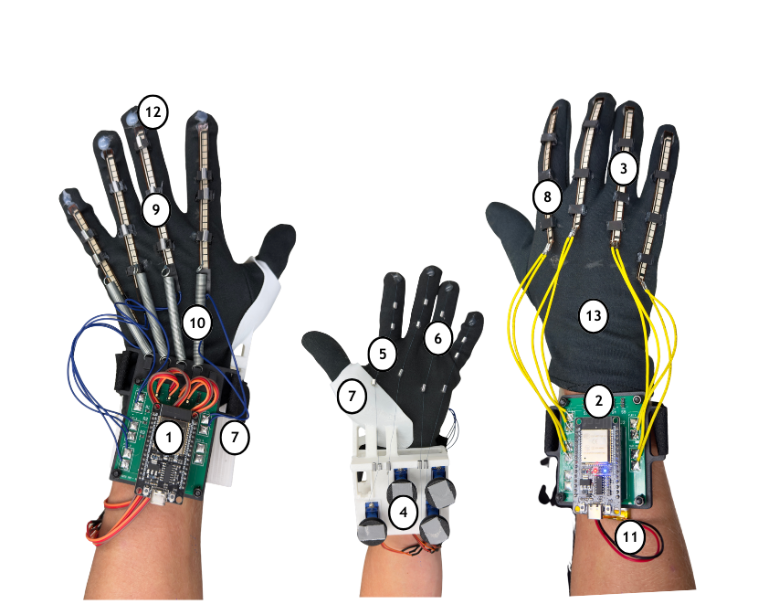 REX0 Gloves Diagram
